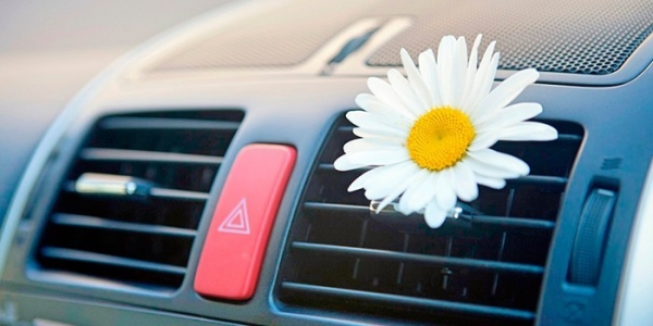 Как избавиться от запаха в салоне автомобиля