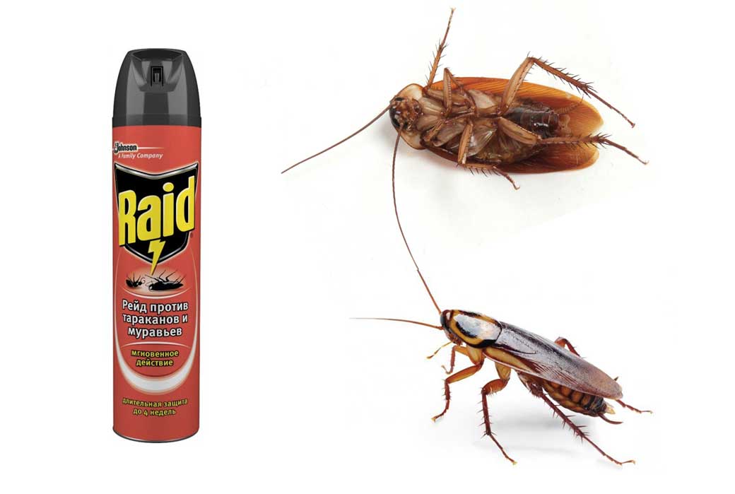 Аэрозоль  против тараканов и муравьев
